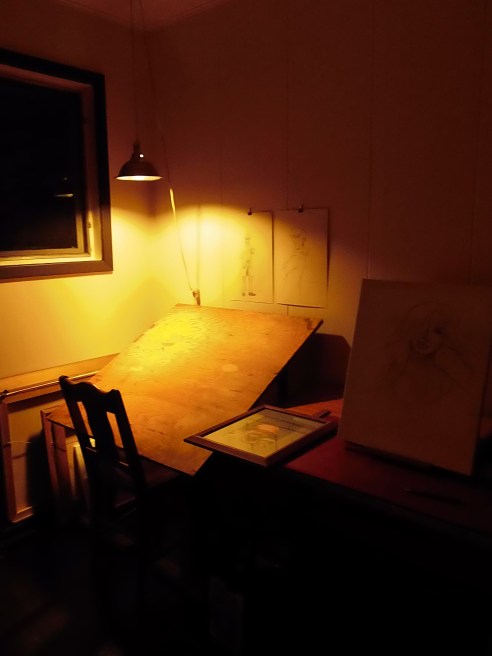 OLYMPUS DIGITAL CAMERA