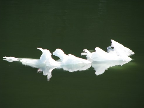 Copy of NewestBatch 927